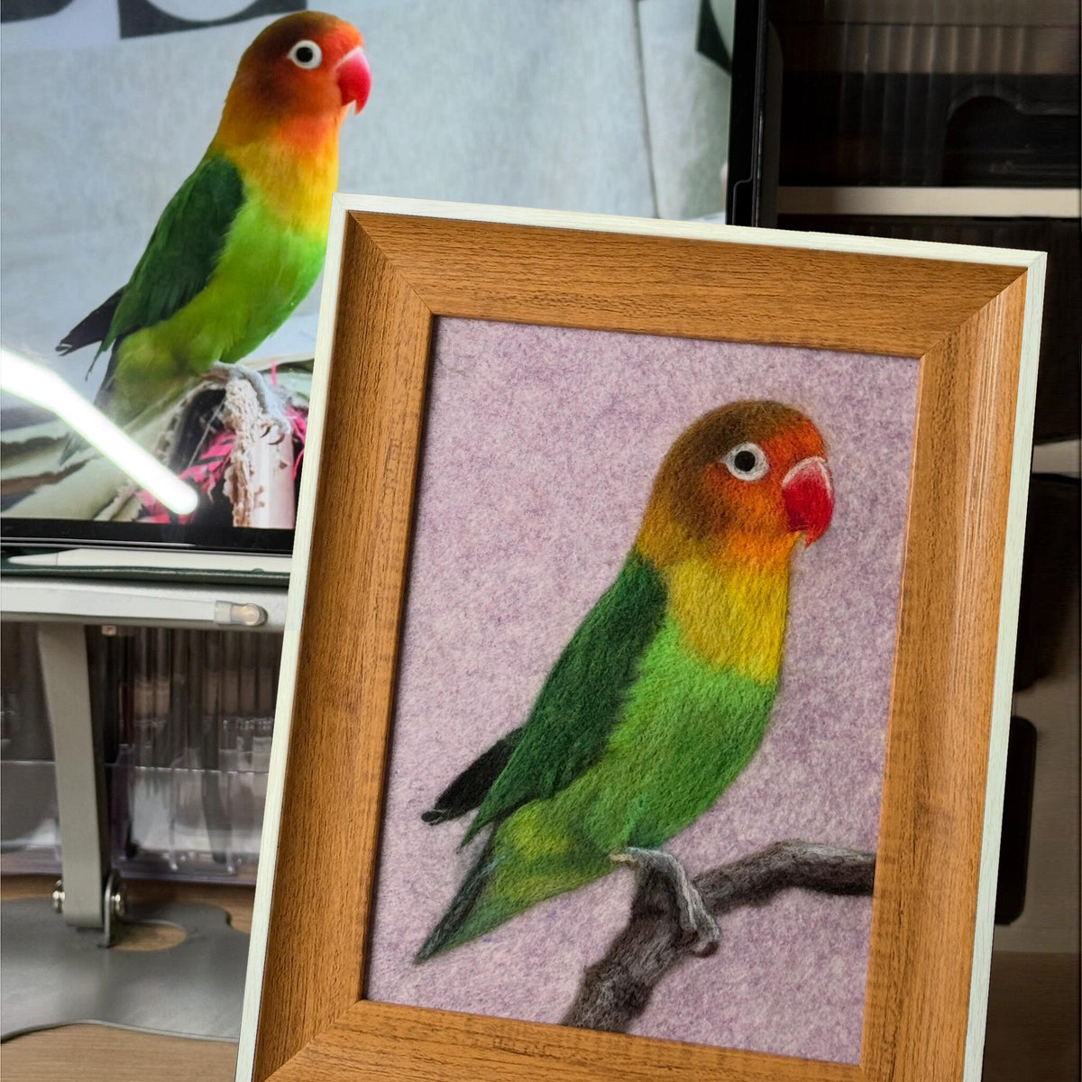 Custom Parrot Portrait Frame | Needle Felted Wool Pet Bird Artwork | Personalized Handmade Gift for Bird Lovers