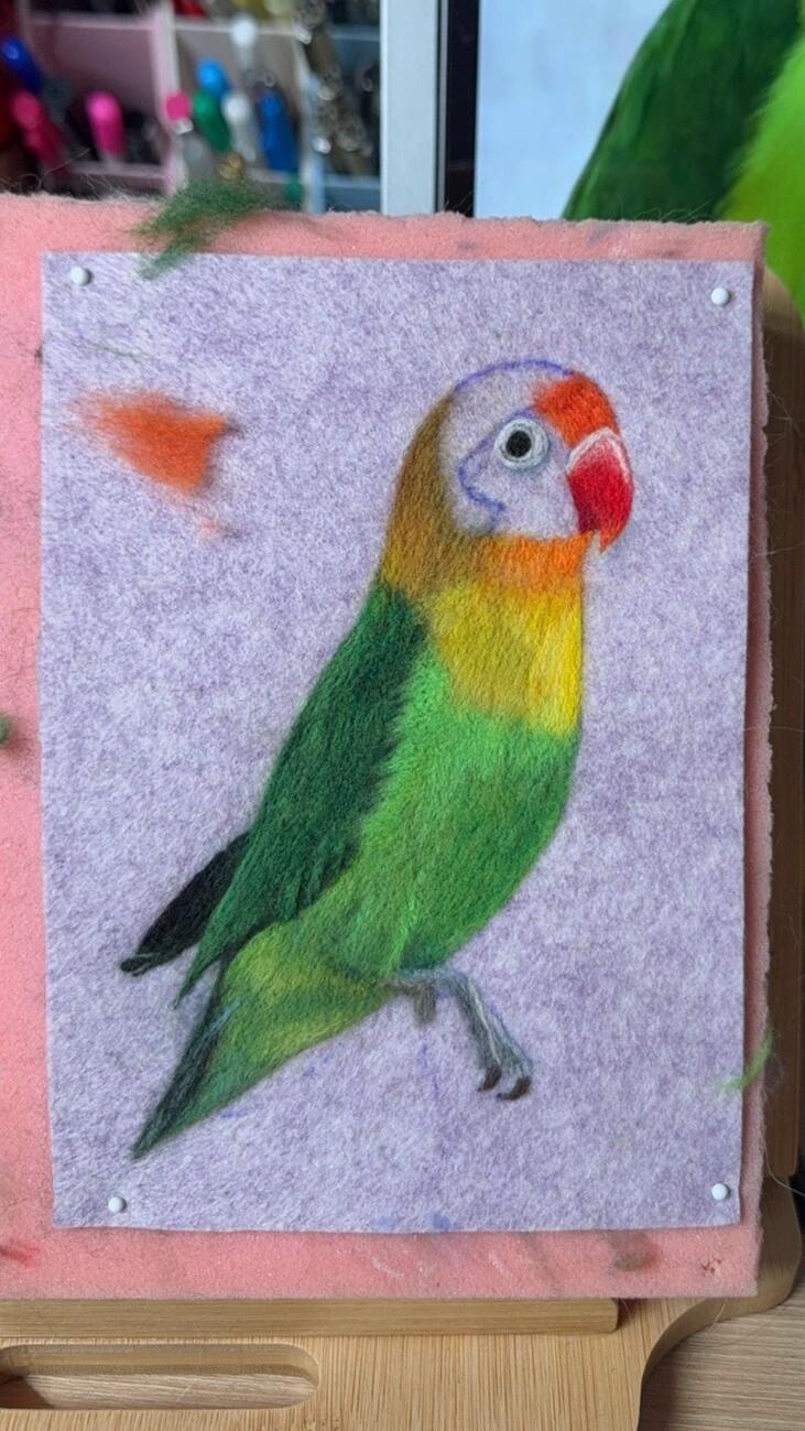 Custom Parrot Portrait Frame | Needle Felted Wool Pet Bird Artwork | Personalized Handmade Gift for Bird Lovers