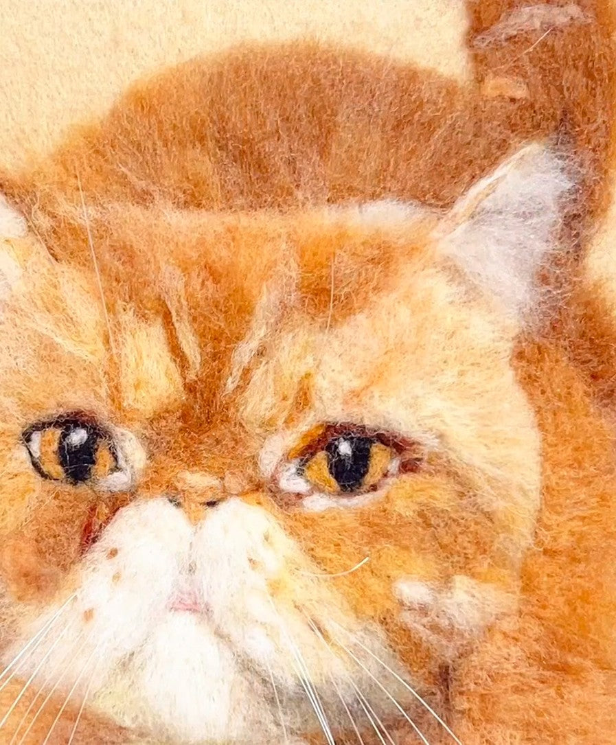 Custom Cat Portrait Frame | Handmade Needle Felted Wool Pet Art | Personalized Pet Memory Gift