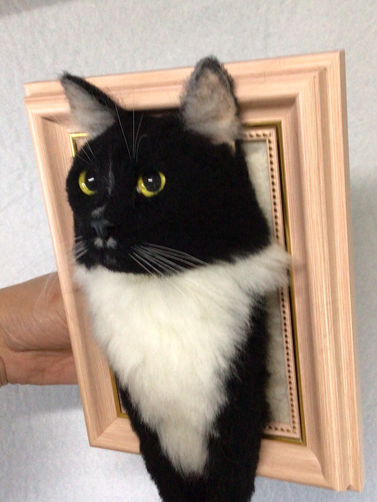 Custom Wool Cat Portrait | 3D Needle Felted Cat Portrait | Christmas Gift for Pet Lovers