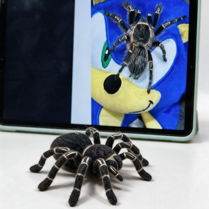 Custom Tarantula Sculpture | Handmade Needle Felted Spider Figurine | Personalized Exotic Pet Memorial Gift