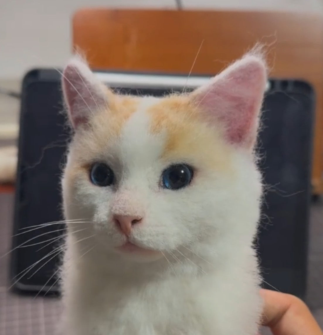 Custom 3D Wool Cat Portrait | Needle Felted Pet Portrait | Christmas Gift Memorial Gift for Pet Lovers